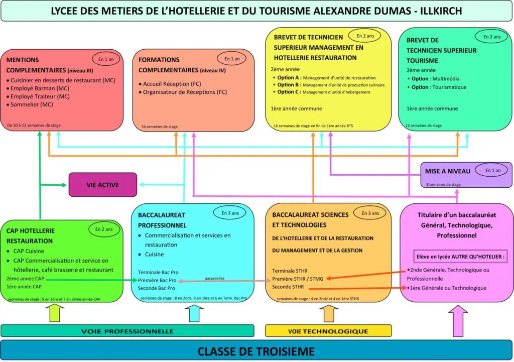 Formations 1 formations organigramme